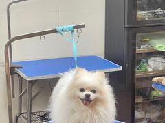 -转角宠物(转塘方家苑店)