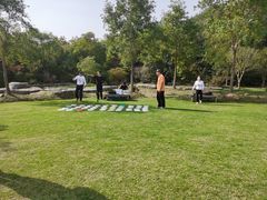 -上海海湾国家森林公园