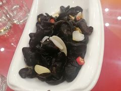 凉拌黑木耳-不倒翁·徽天下名菜楼(马鞍山路店)
