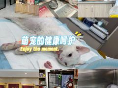 -四月宠物医院·猫专科·心脏专科·内科(转塘店)