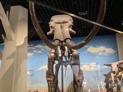 -国家自然博物馆