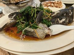 -揭阳钟记小食(福田新村店)