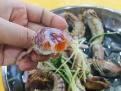 -蚝专家(北滘店)