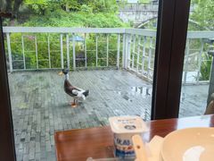 -杭州西溪喜来登度假大酒店