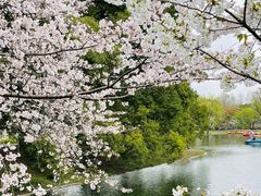 -上海共青森林公园