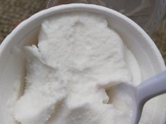 -洪馨椰子
