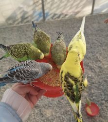 -萌宠亲子动物乐园(槐房万达店)