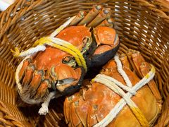 -蟹村草堂·苏式园林人文农家·大闸蟹