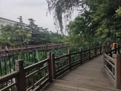 -环城公园