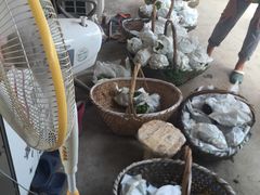 -马陆小张葡萄园农家乐