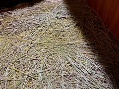 -黄瓜箐温泉疗养院