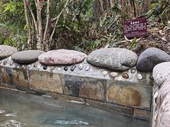 -花水湾第一村温泉大酒店