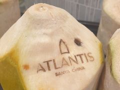 -亚特兰蒂斯-番红花海鲜自助餐厅·鲜活海鲜·小火锅