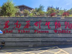 -青藏高原野生动物园