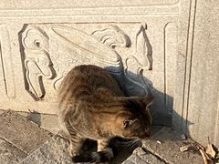 -宝通禅寺