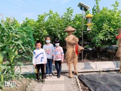 -太湖雪蚕桑文化园