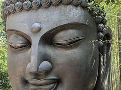-杭州植物园