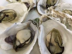 -海岛渔村大酒店(云霄路店)