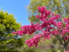 -上海滨江森林公园