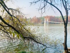 -东湖落雁景区