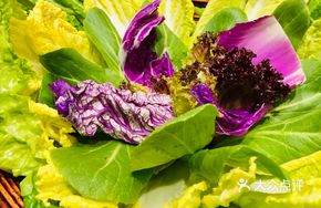 Organic Vegetable Medley