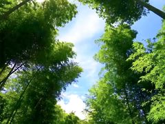 -千泷沟大瀑布旅游区