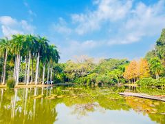 -中国科学院西双版纳热带植物园