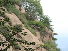 -六里坪国家森林公园