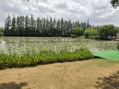 -上海长兴岛郊野公园