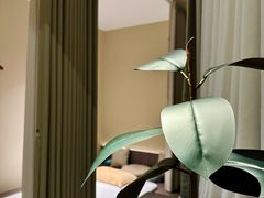 -木兰逸•泰式按摩•头疗•SPA(车公庙店)