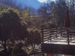 -西院1号(龙井店)