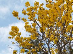 -佛冈森波拉度假区