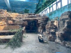 -石家庄市动物园