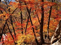 -丹东天桥沟景区