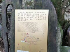 -千岛湖石林