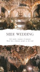 -米迪婚礼