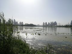 -月湖风景区