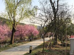 -石塘人家