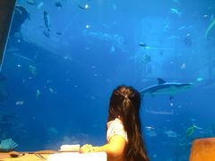 -海棠湾洲际-涛·海底餐厅·美人鱼·自助餐·海底隧道