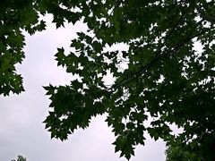 -华东政法大学(松江校区)