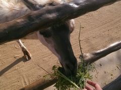 android_upload_pic-西安秦岭野生动物园