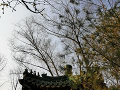-月坛公园