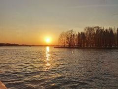 -溱湖国家湿地公园