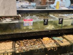 -海鲜e族(马王堆店)