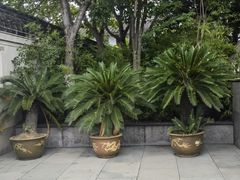 -王阳明故居