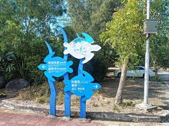 -广东惠东海龟国家级自然保护区
