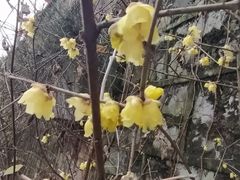 -遵义会议纪念馆
