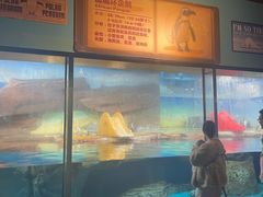 -海合安武汉极地海洋公园