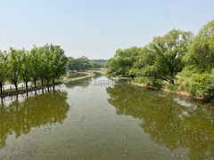 -北京麋鹿生态实验中心