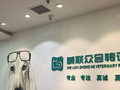 -美联众合动物医院·24h转诊中心